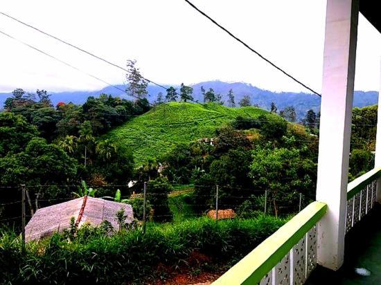 Richard Homestay 埃拉 外观 照片